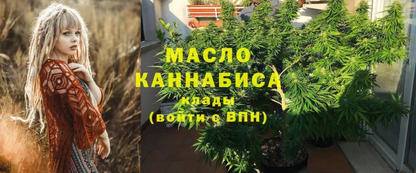 шишки Гусев