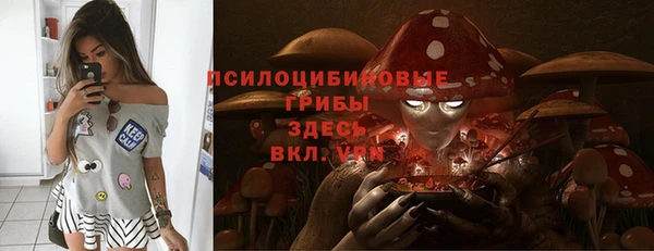 шишки Гусев