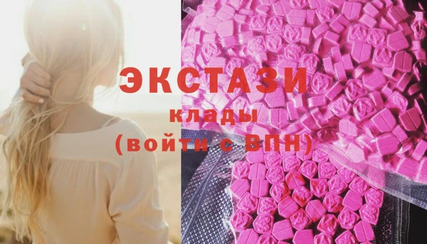шишки Гусев