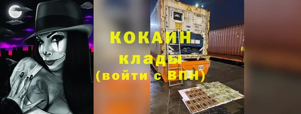 шишки Гусев