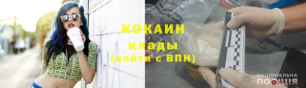 шишки Гусев