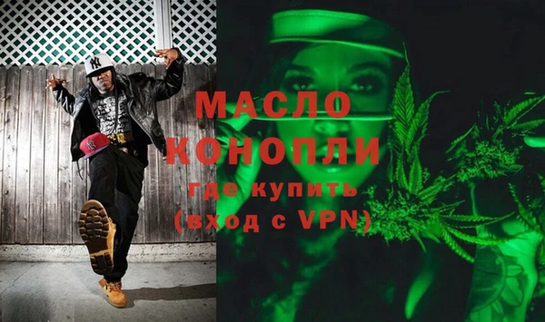 шишки Гусев