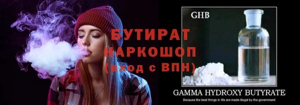 шишки Гусев