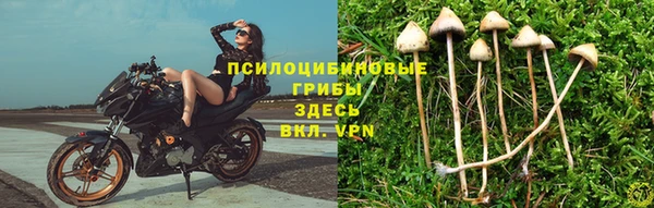 амфетамин Гусь-Хрустальный