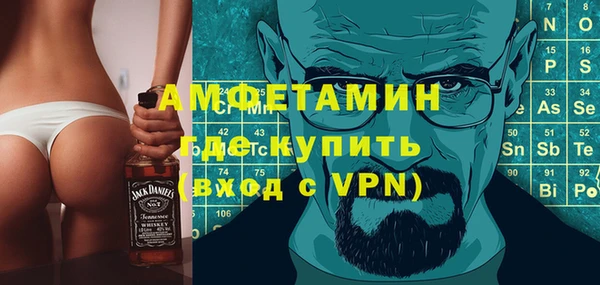 шишки Гусев