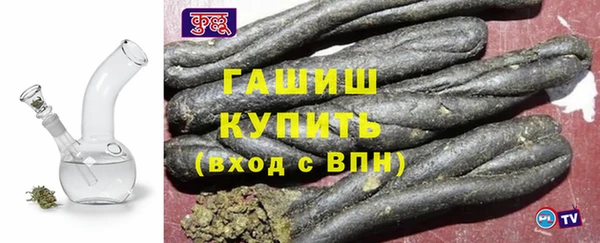 шишки Гусев