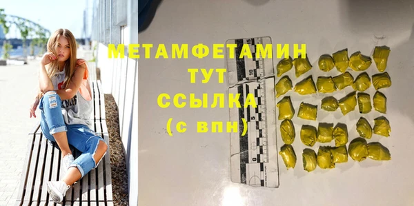 шишки Гусев